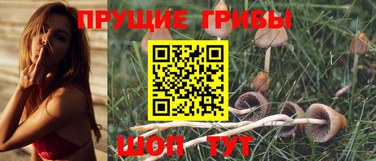 Галлюциногенные грибы MAGIC MUSHROOMS  Вход с VPN  наркошоп  Галлюциногенные грибы MAGIC MUSHROOMS  Шадринск 
