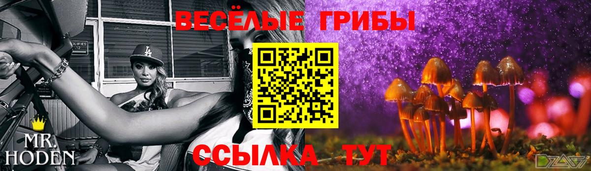 Псилоцибиновые грибы Magic Shrooms Шадринск